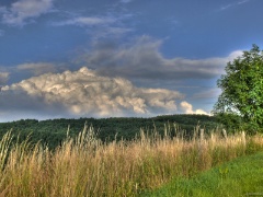 P1100513e