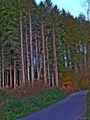 P1140143e2