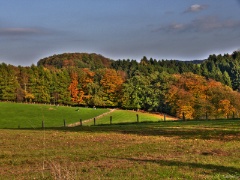 P1140216e2