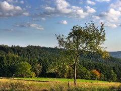 P1140240e2