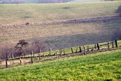 IMG_1969e