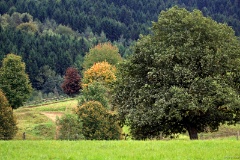 IMG_2773e