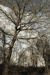 IMG_5827e