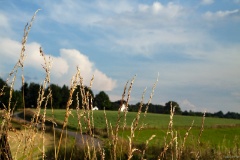IMG_7220e