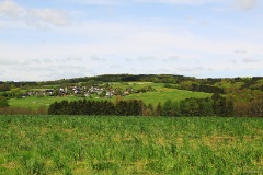 IMG_7234e