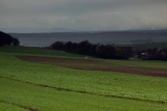 IMG_7349e