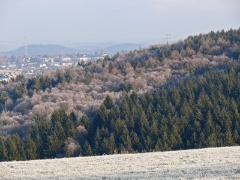 P1000793e