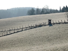 P1000798e
