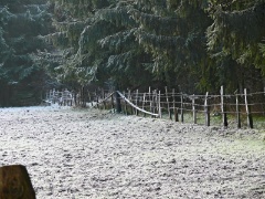 P1000817e