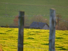 P1010908e