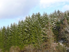 P1020603e