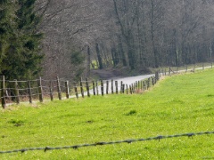 P1050653e