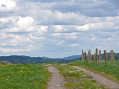 P1060656e