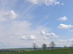 P1060677e