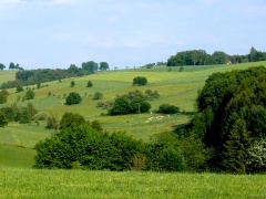 P1080339e