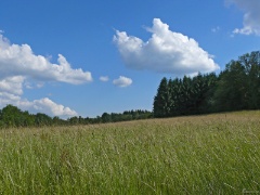 P1090716e