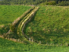 P1120842e