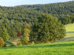 P1130562e