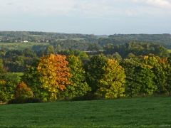 P1130623e
