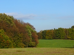 P1140213e