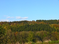P1140300e