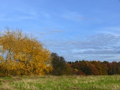 P1140379e