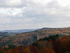 P1140580e