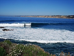 DSC01899e