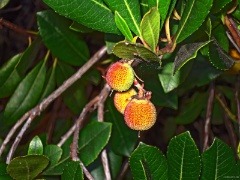 DSC02061e