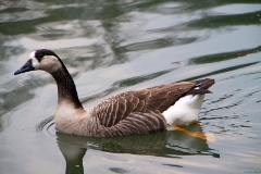 IMG_3010e