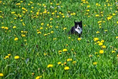 IMG_7493ec