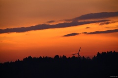 IMG_0390e