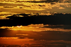 IMG_0843e2