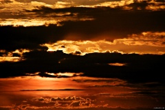 IMG_0870e2