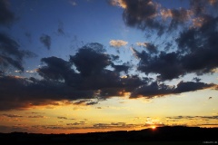 IMG_0939e