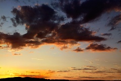 IMG_0986e