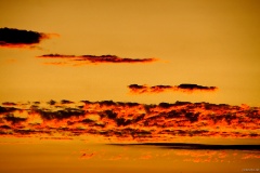 IMG_1043e2