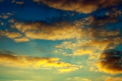 IMG_1212e