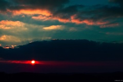 IMG_1239e