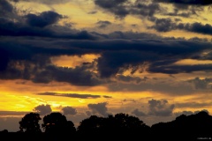 IMG_1365e