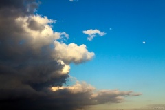IMG_1584e