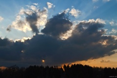 IMG_1606e