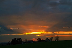 IMG_1722e