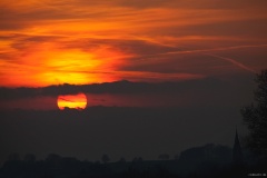 IMG_2045e