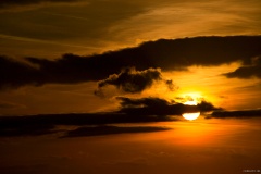 IMG_2382e