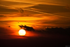 IMG_2400e