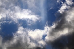 IMG_2402e