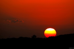 IMG_2697e