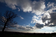 IMG_3121e