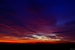 IMG_3441e